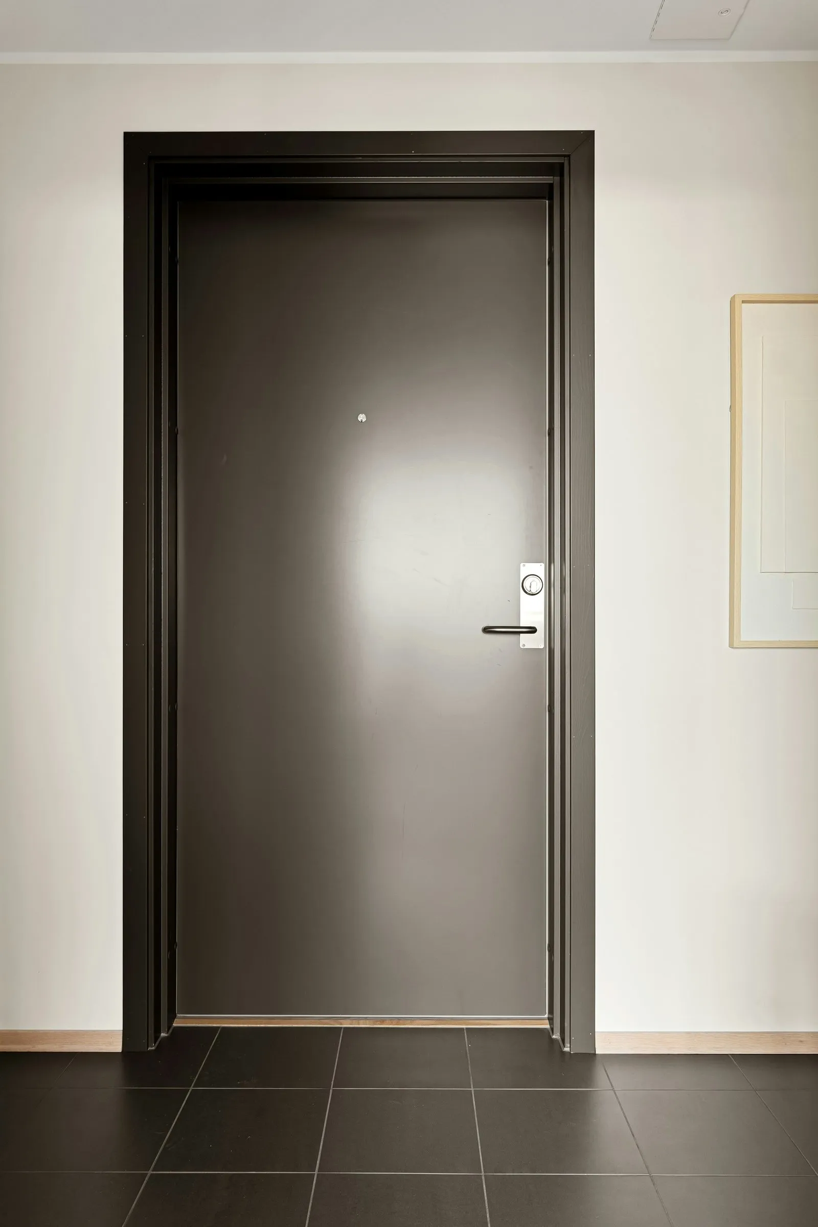 Porta blindata liscia color bronzo scuro con telaio robusto